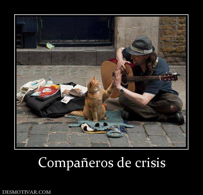 Compañeros de crisis