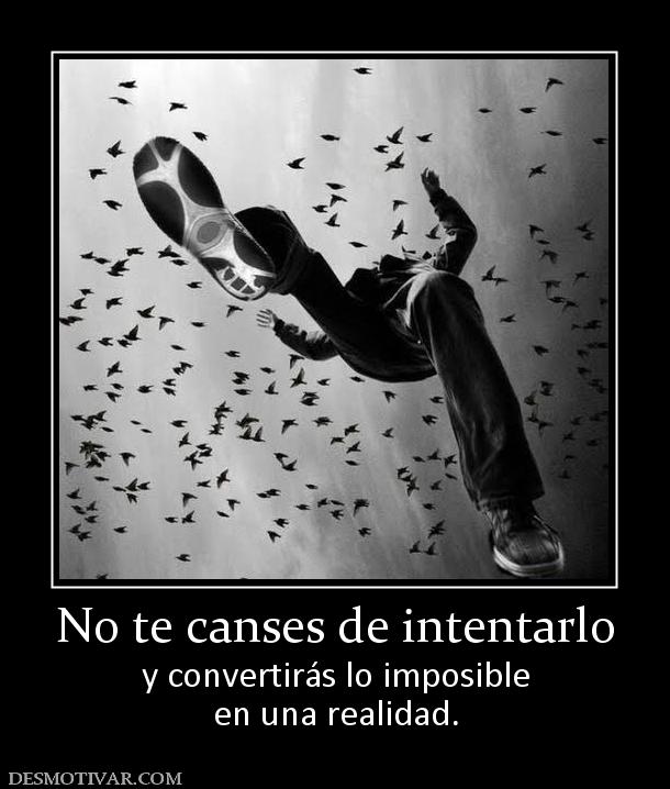 No te canses de intentarlo y convertirás lo imposible en una realidad.