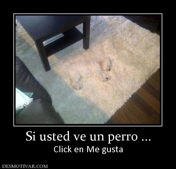 Si usted ve un perro ... Click en Me gusta