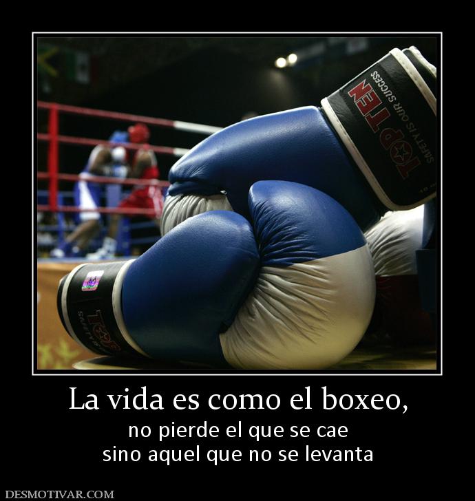 La vida es como el boxeo, no pierde el que se cae sino aquel que no se levanta