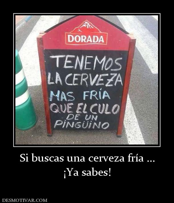 Si buscas una cerveza fría ... ¡Ya sabes!