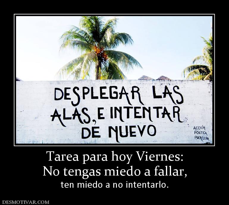 Tarea para hoy Viernes: No tengas miedo a fallar,  ten miedo a no intentarlo.