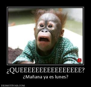 ¿QUEEEEEEEEEEEEEEEE? ¿Mañana ya es lunes?