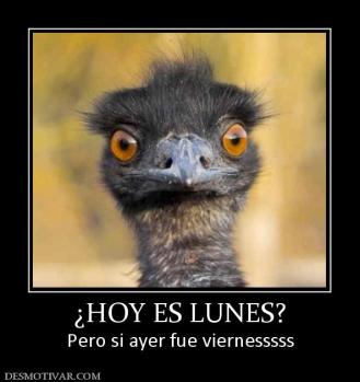 ¿HOY ES LUNES? Pero si ayer fue viernesssss