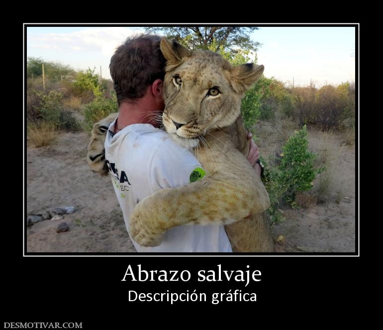 Abrazo salvaje Descripción gráfica