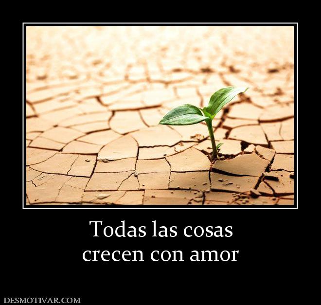 Todas las cosas crecen con amor