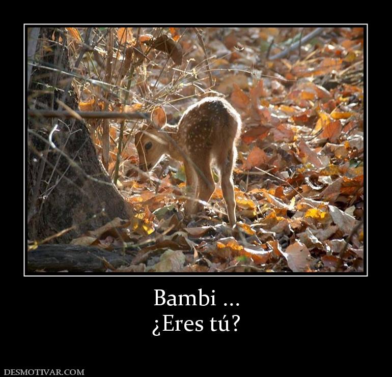 Bambi ... ¿Eres tú?