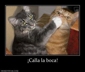 ¡Calla la boca!