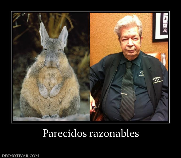 Parecidos razonables