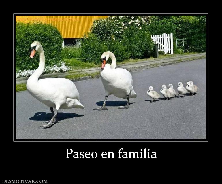 Paseo en familia