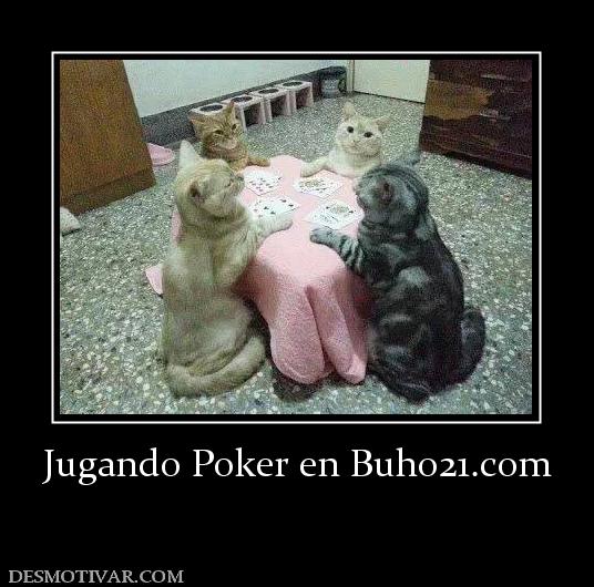 Jugando Poker en buho21.org