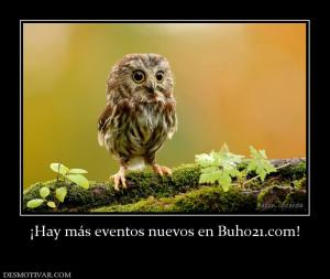 ¡Hay más eventos nuevos en Buho21.com!