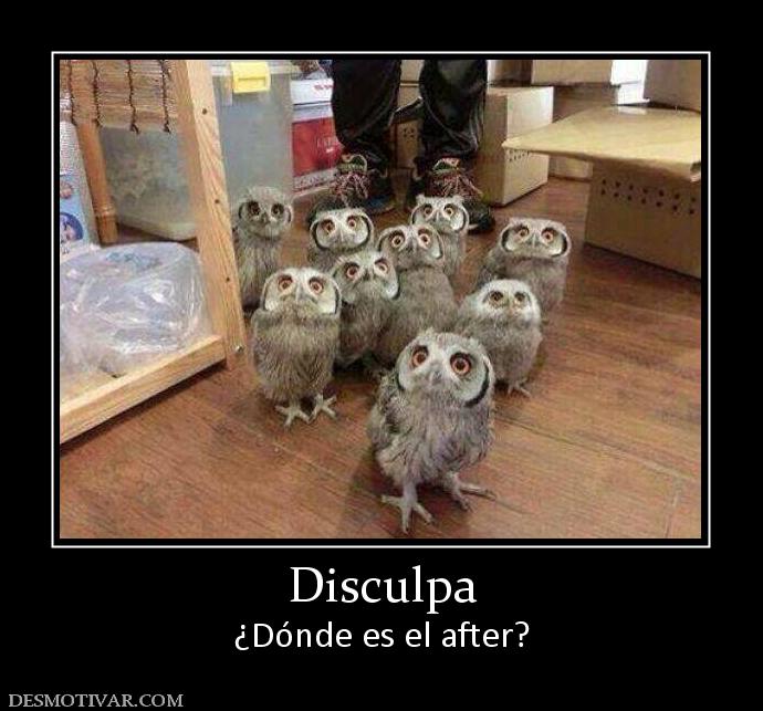 Disculpa ¿Dónde es el after?