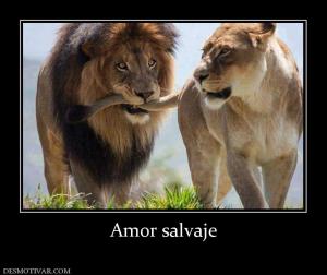 Amor salvaje