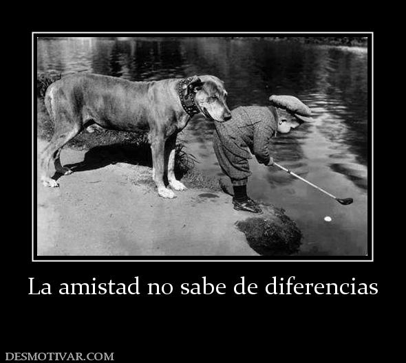 La amistad no sabe de diferencias