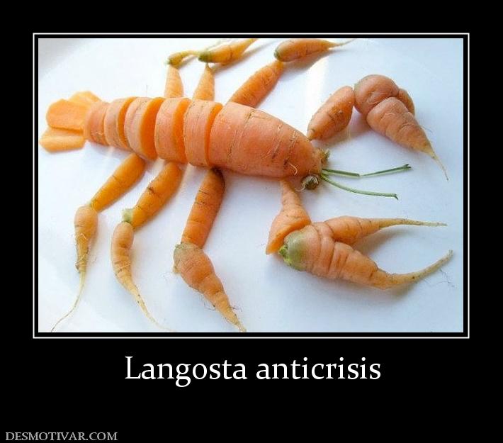 Langosta anticrisis