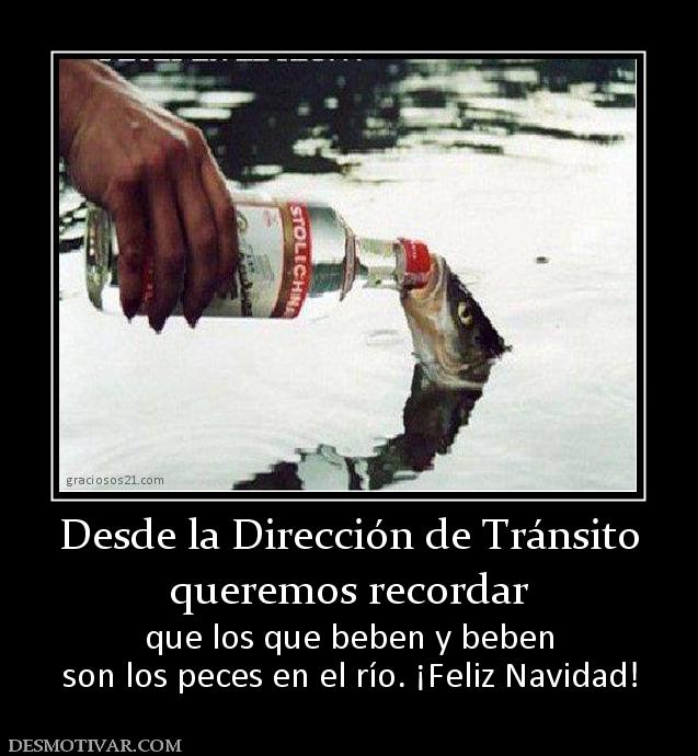Lista 99+ Foto beben y beben los peces en el río Mirada tensa