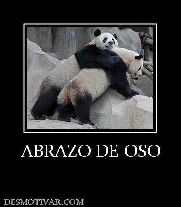 Desmotivaciones Abrazo De Oso