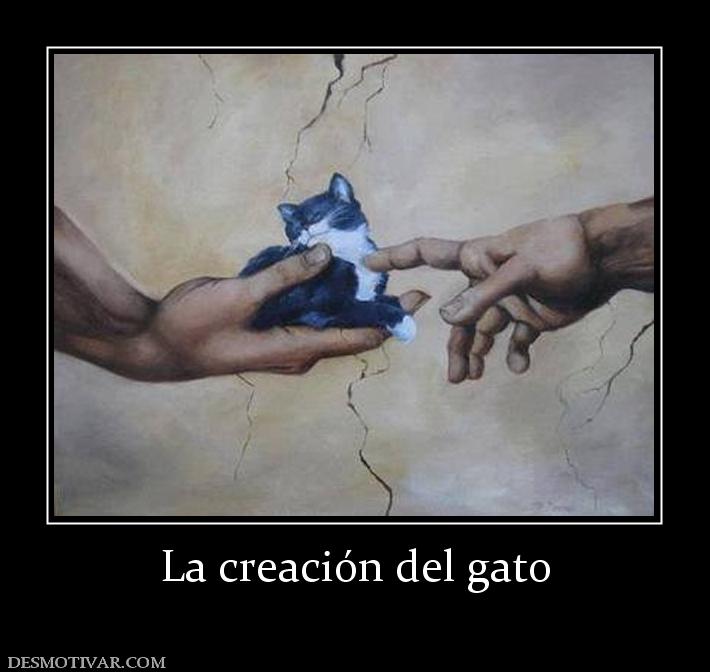 La creación del gato