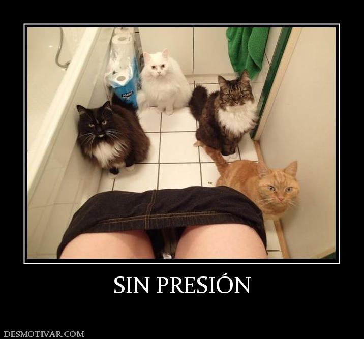 SIN PRESIÓN