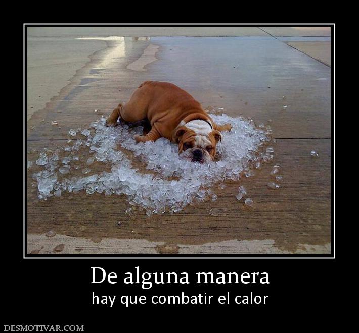 De alguna manera hay que combatir el calor