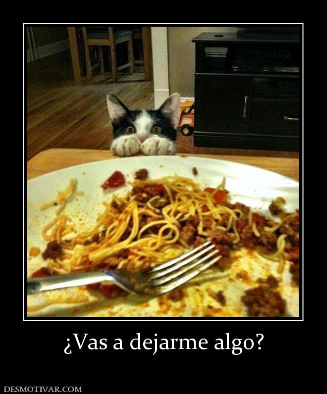 ¿Vas a dejarme algo?