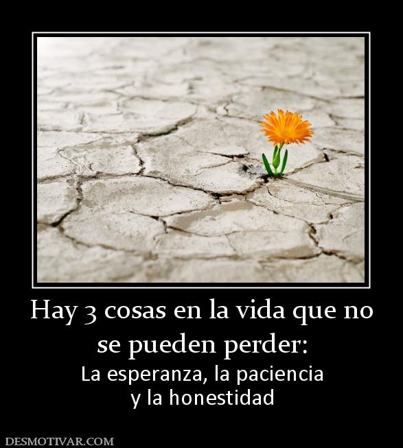 Hay 3 cosas en la vida que no se pueden perder: La esperanza, la paciencia y la honestidad