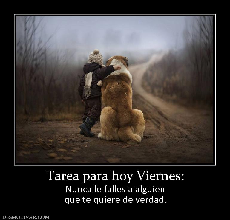 Tarea para hoy Viernes: Nunca le falles a alguien que te quiere de verdad.