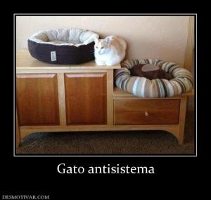 Gato antisistema