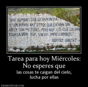 Tarea para hoy Miércoles: No esperes que  las cosas te caigan del cielo, lucha por ellas