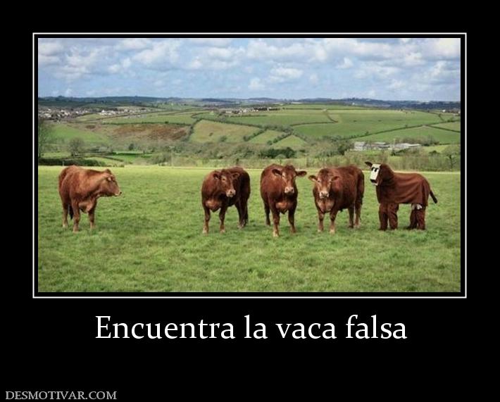 Encuentra la vaca falsa