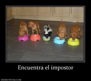 Encuentra el impostor