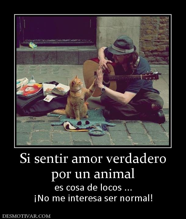 Si sentir amor verdadero por un animal es cosa de locos ... ¡No me interesa ser normal!