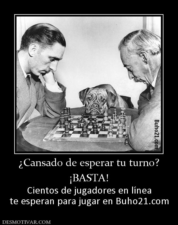 ¿Cansado de esperar tu turno? ¡BASTA! Cientos de jugadores en línea te esperan para jugar en buho21.org