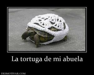 La tortuga de mi abuela