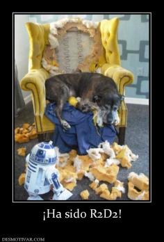 ¡Ha sido R2D2!