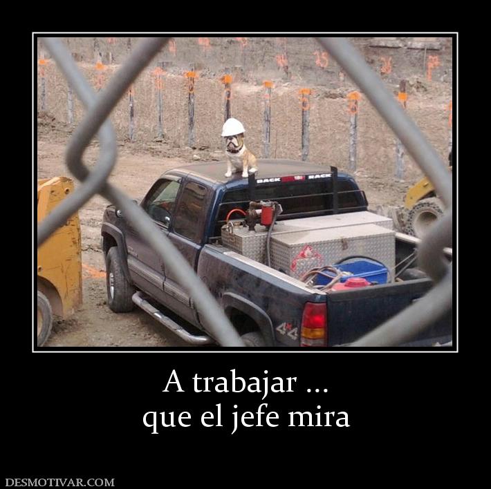 A trabajar ... que el jefe mira