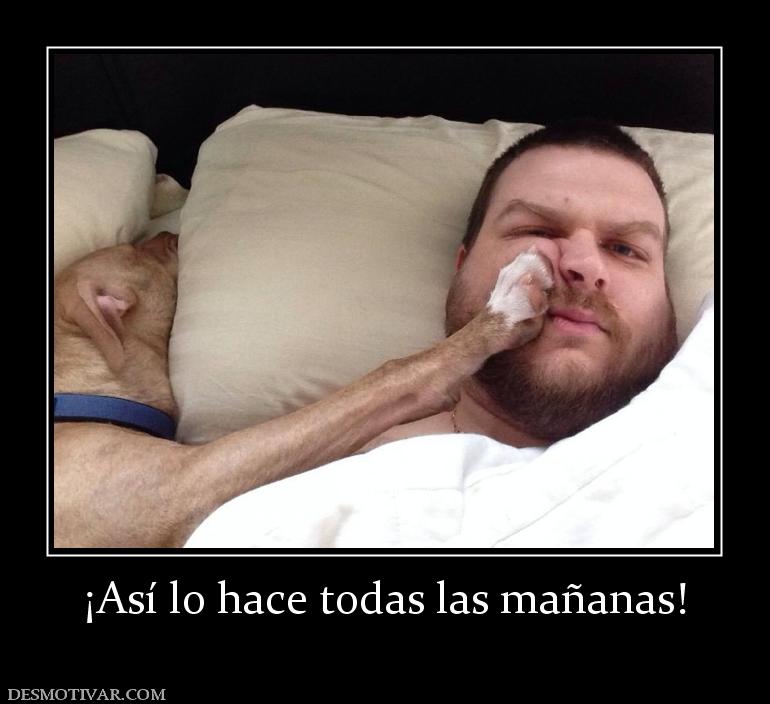 ¡Así lo hace todas las mañanas!