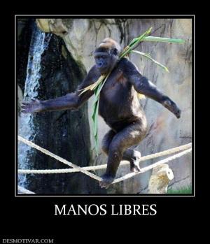 MANOS LIBRES