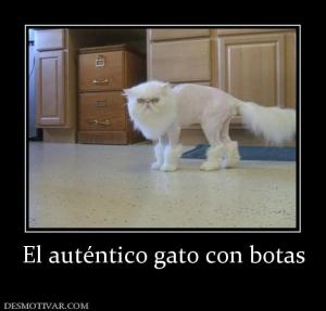 El auténtico gato con botas