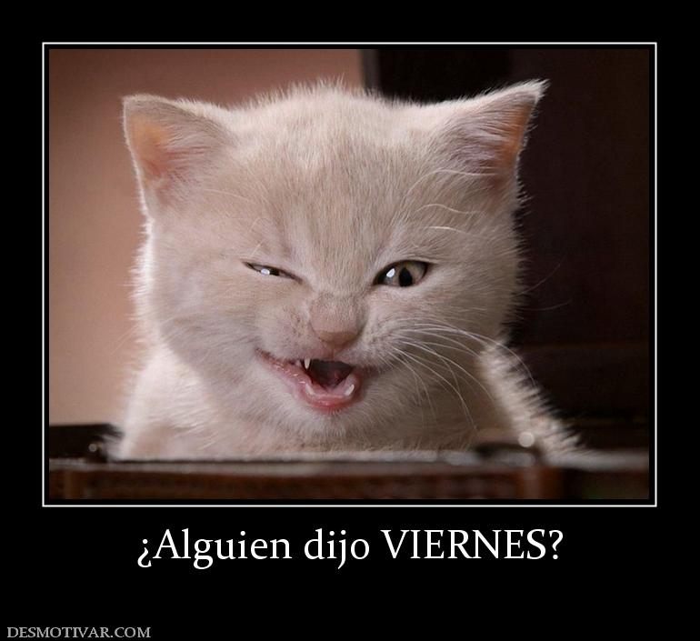 ¿Alguien dijo VIERNES?