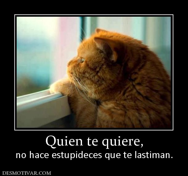 Quien te quiere, no hace estupideces que te lastiman.