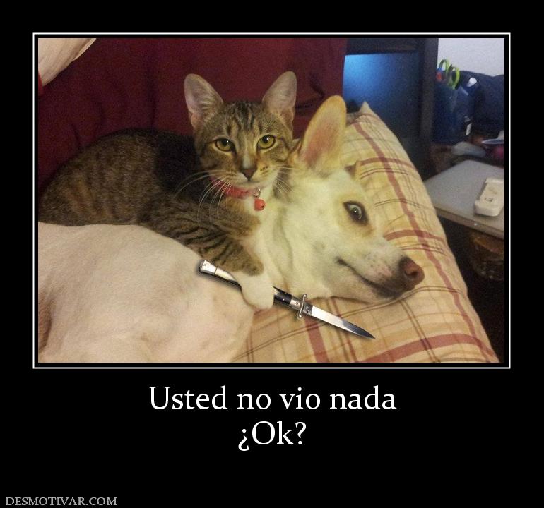 Usted no vio nada ¿Ok?