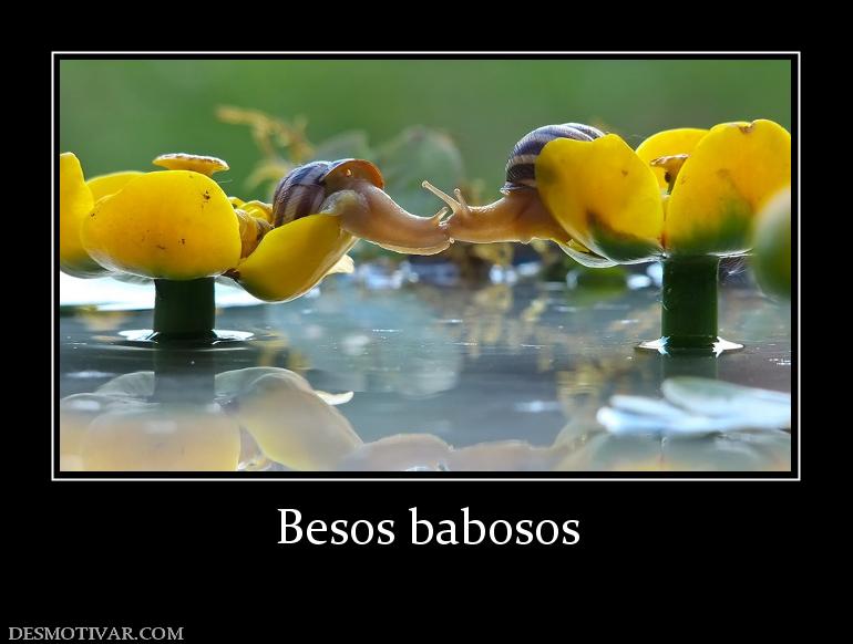 Besos babosos