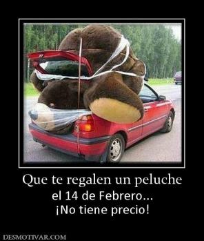 Que te regalen un peluche el 14 de Febrero... ¡No tiene precio!