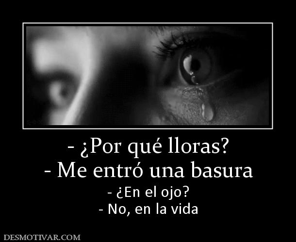 - ¿Por qué lloras? - Me entró una basura - ¿En el ojo? - No, en la vida