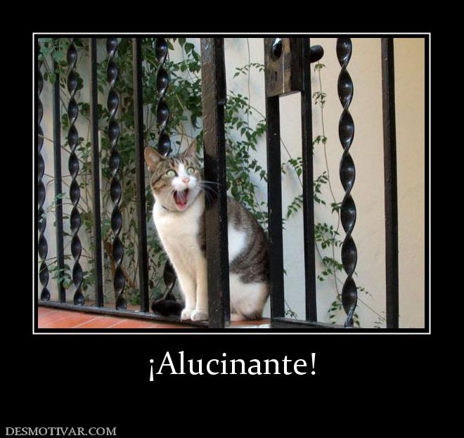 ¡Alucinante!