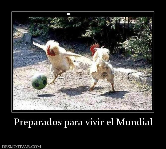 Preparados para vivir el Mundial