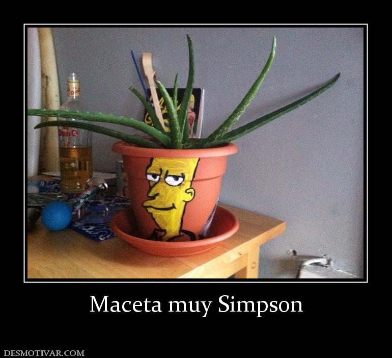 Maceta muy Simpson