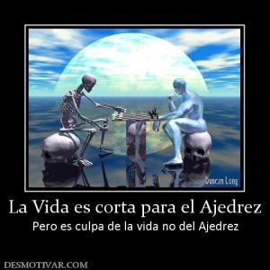 La Vida es corta para el Ajedrez Pero es culpa de la vida no del Ajedrez